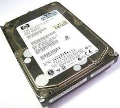 300955-024, Жесткий диск HP 300955-024 36.4ГБайт SCSI Wide Ultra160 10000 об./мин. 3.5" 80 Pin SCA 