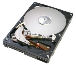 40K1025, Жесткий диск IBM 40K1025 HDD 300GB Ultra320 10K rpm Hot Swap
