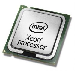 49Y3707, Процессор IBM 49Y3707 Express Quad-Core Intel Xeon Processor E5504 (46D1351)