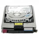 Жесткий диск HP BD30058226 