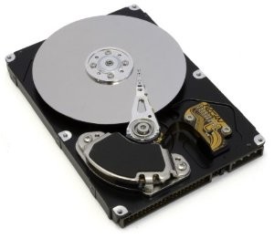 Жесткий диск IBM 39R7314