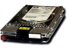 Жесткий диск HP 233806-007