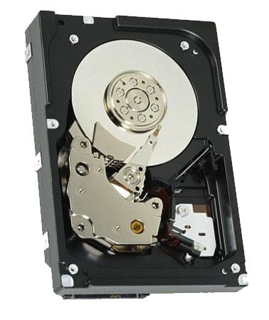 Жесткий диск IBM 42D0378