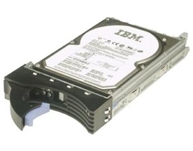 Жесткий диск IBM 81Y9872