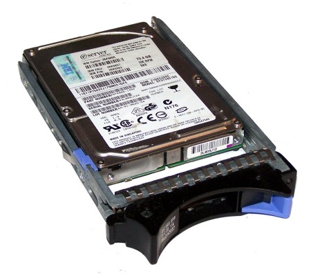 Жесткий диск IBM 42C0248