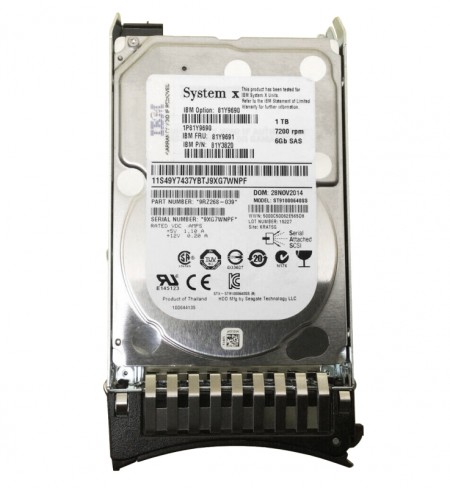 Жесткий диск IBM 81Y9691