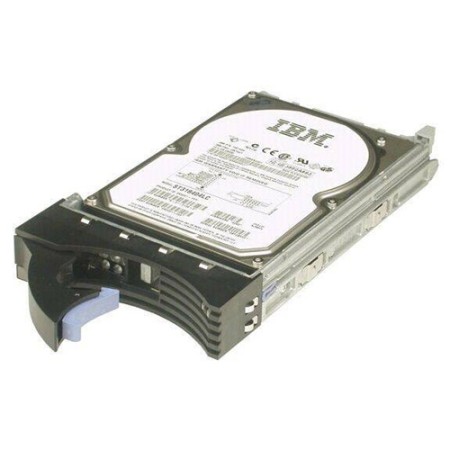 Жесткий диск IBM 81Y9844