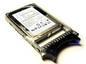 Жесткий диск IBM 74Y6485