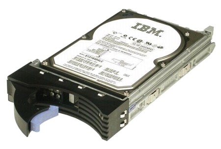 Жесткий диск IBM 44W2246